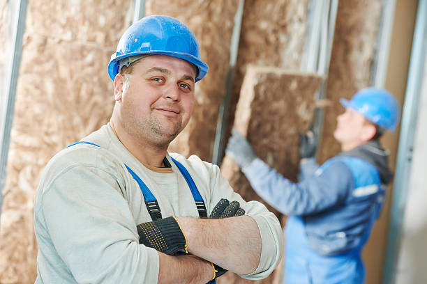 Best Wall Insulation Contractor  in Fair Plain, MI
